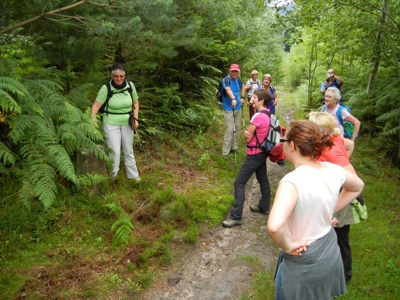 Bernsteinwanderung