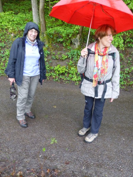 Landeswandertag