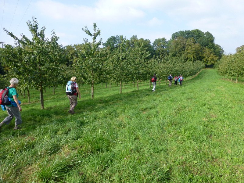 Wiiwegliimpressionen