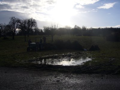 Christbaumsammelaktion