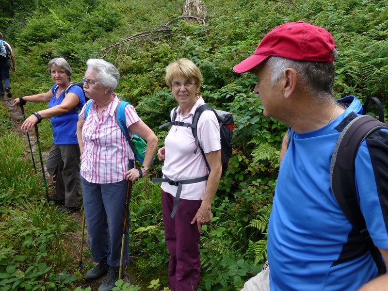 Bernsteinwanderung