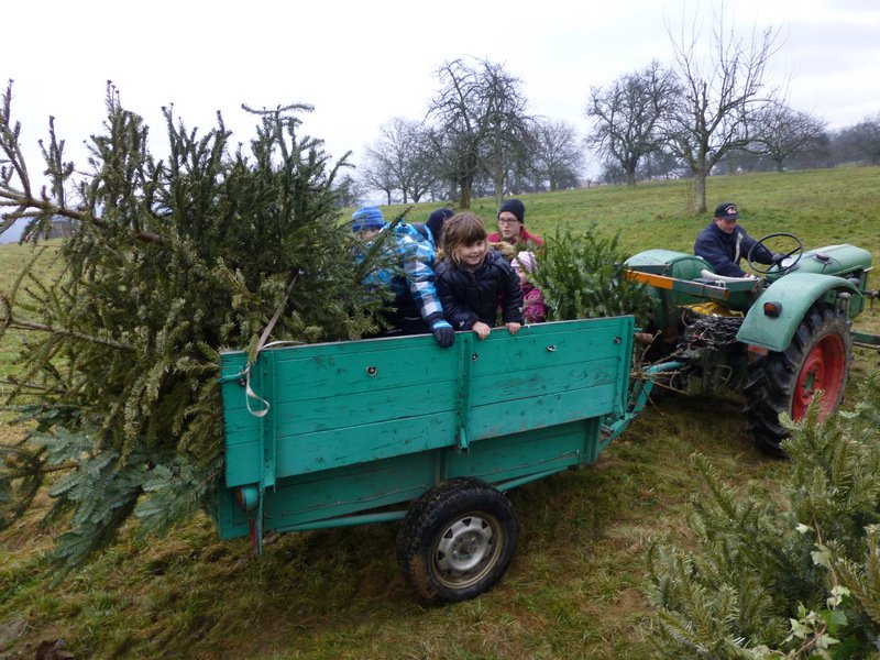Christbaumsammelaktion