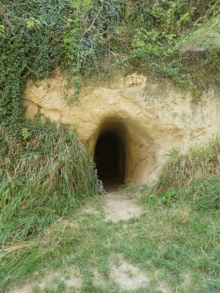 Kaiserstuhlwanderung