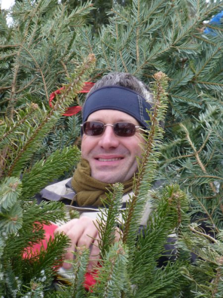 Christbaumsammelaktion