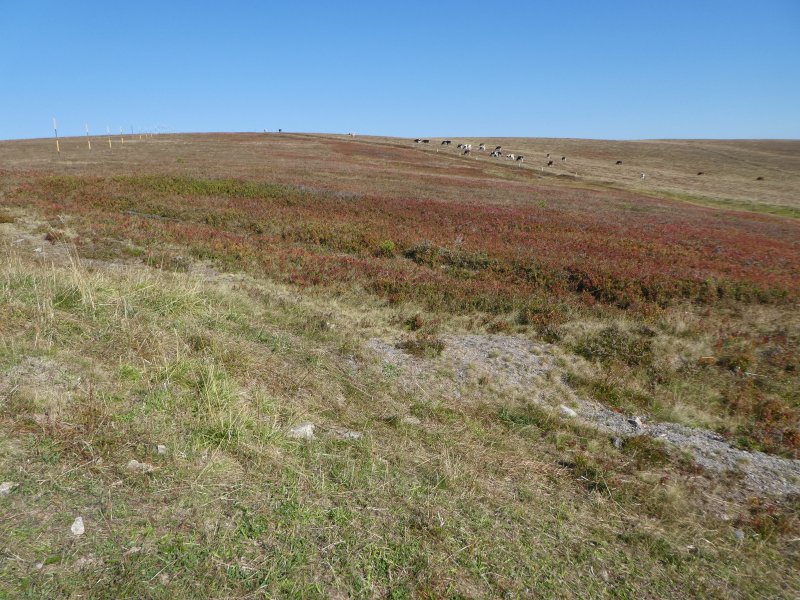 Wanderwochenende