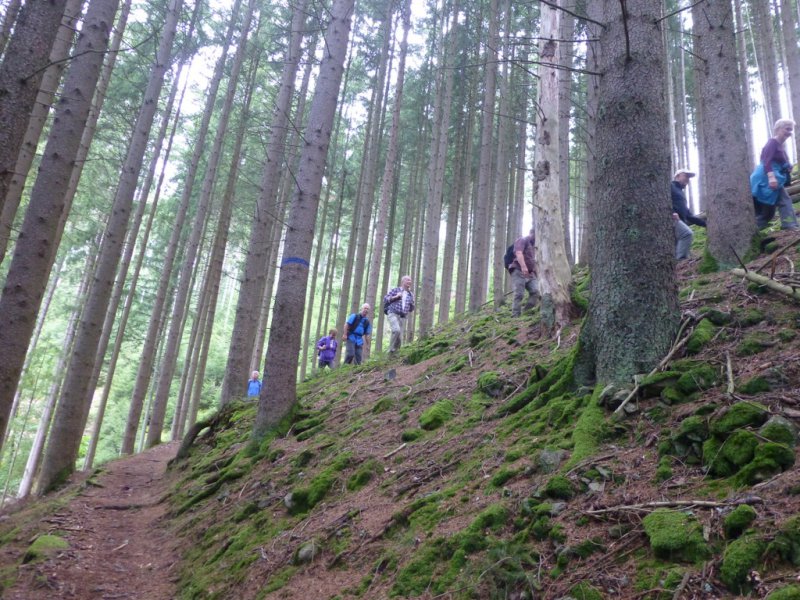 Sommerwanderung