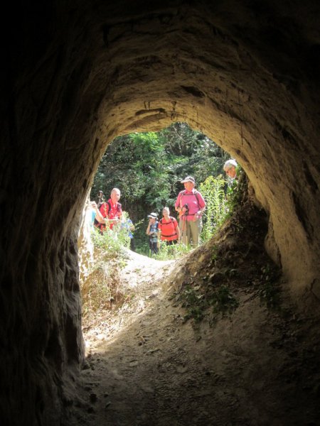 Kaiserstuhlwanderung