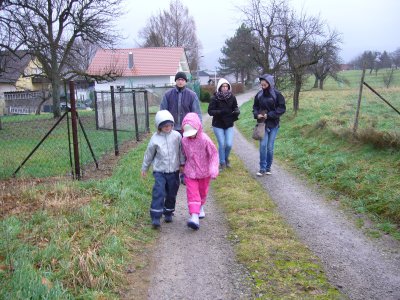 Christbaumsammelaktion