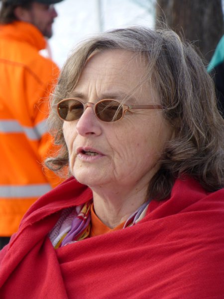 Christbaumsammelaktion