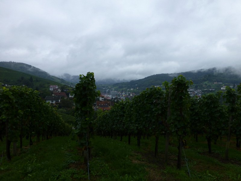 Wanderung