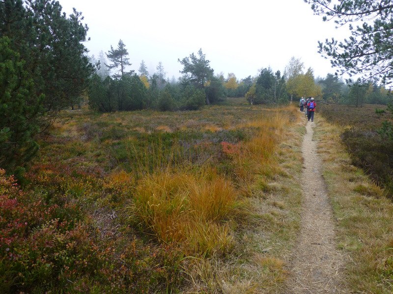 Herbstwanderung