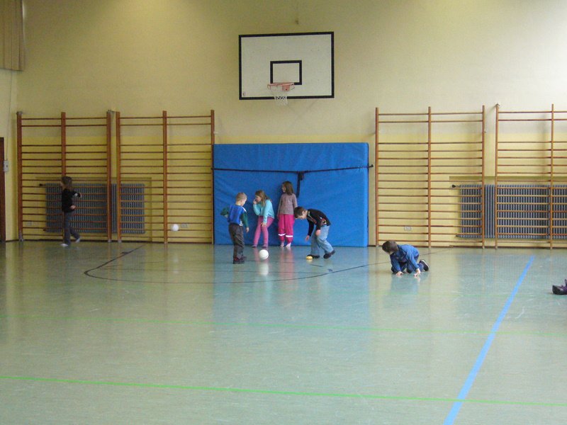 Christbaumsammelaktion