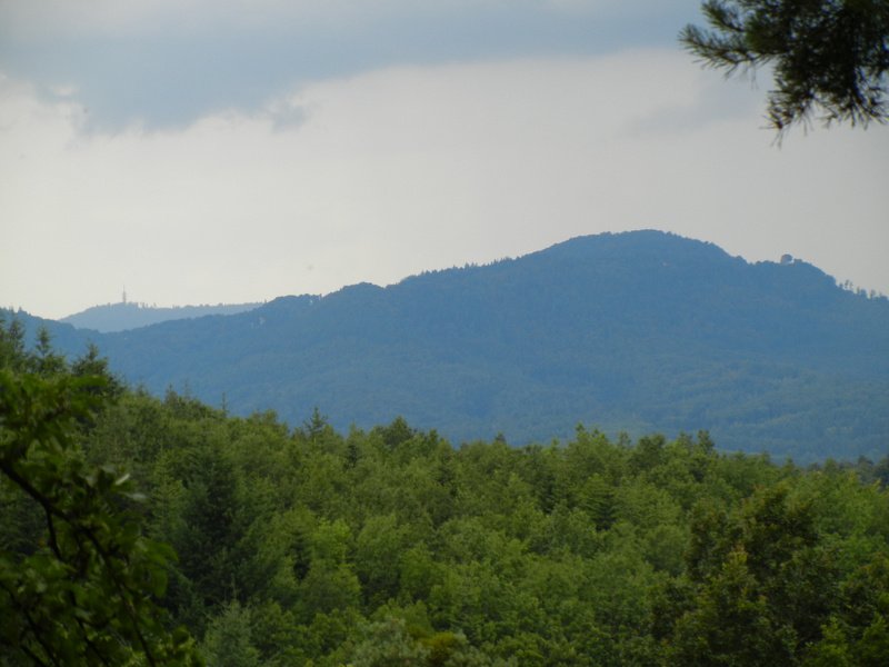 Bernsteinwanderung