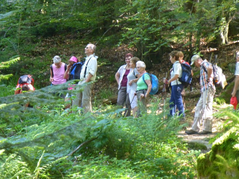 Sommerwanderung