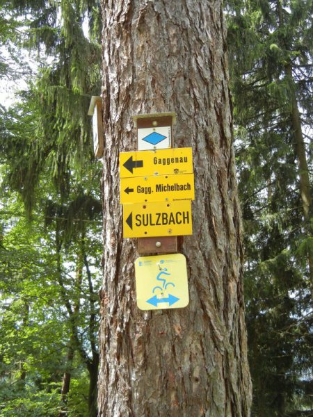 Bernsteinwanderung