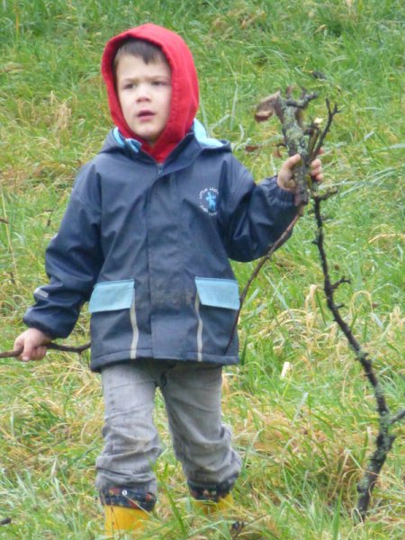 Christbaumsammelaktion