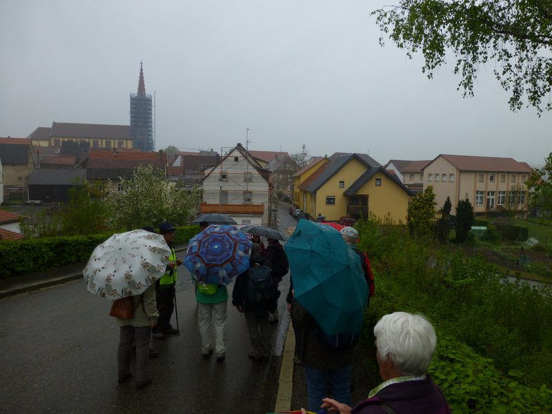 Landeswandertag