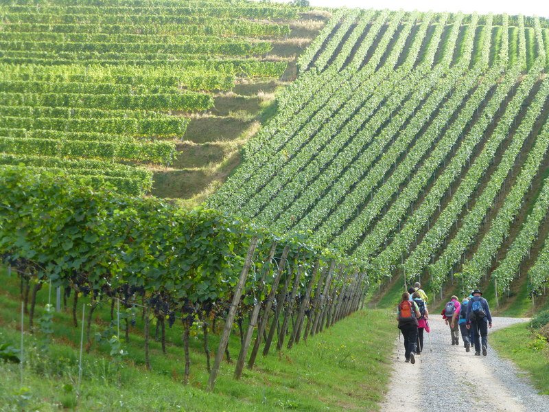 Gengenbach