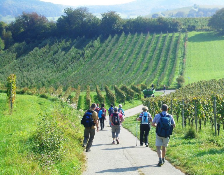 Wiiwegliimpressionen