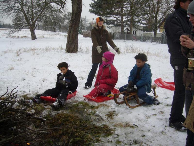 Christbaumsammelaktion