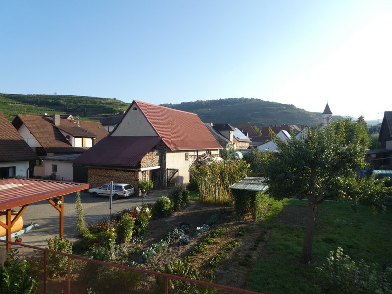 Kaiserstuhlwanderung