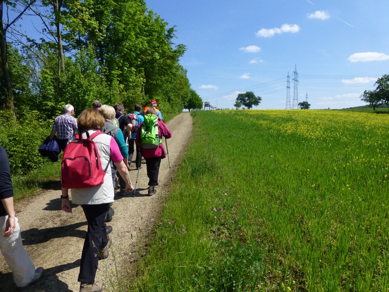 Landeswandertag
