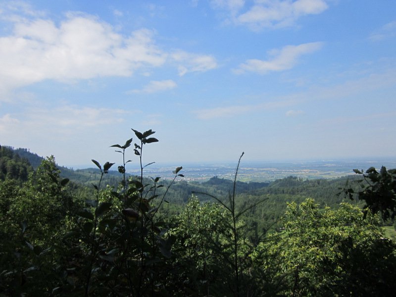 Wandern