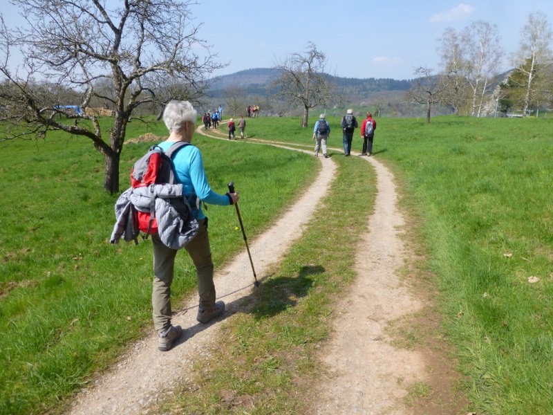 Wandern