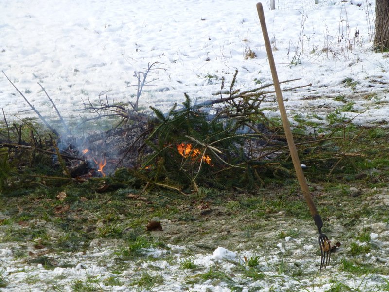 Christbaumsammelaktion