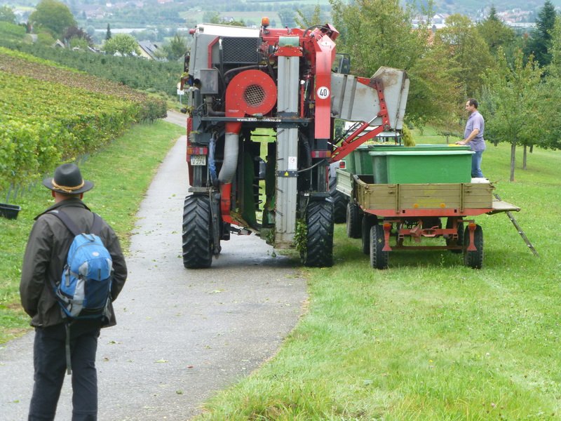 Gengenbach