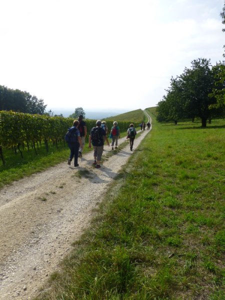 Wiiwegliimpressionen