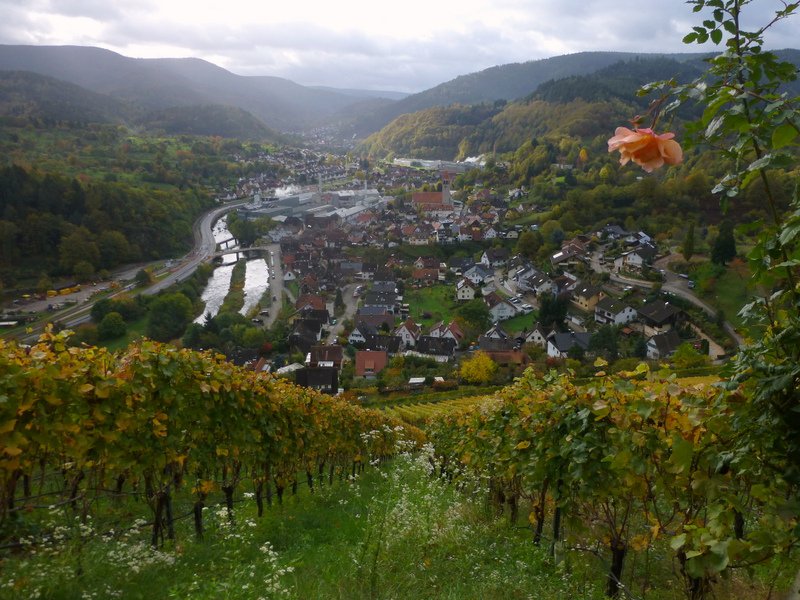Herbstwanderung