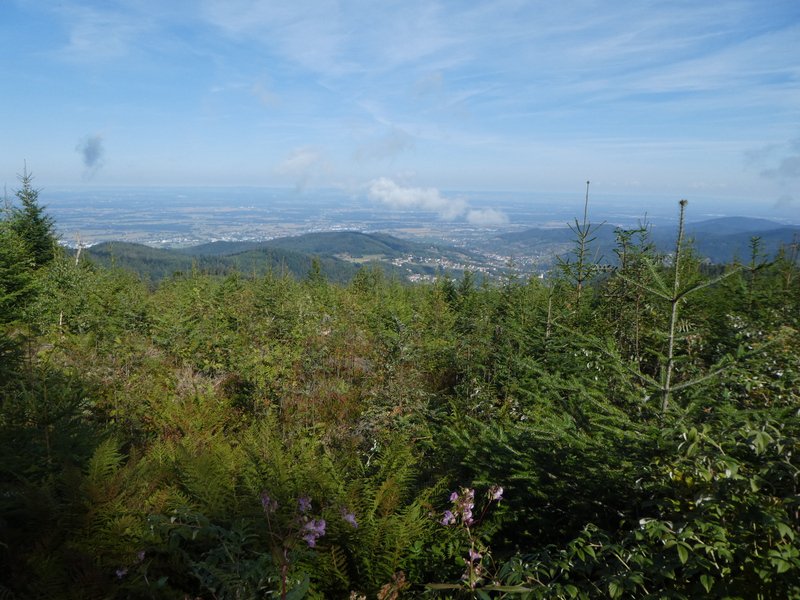 Sommerwanderung