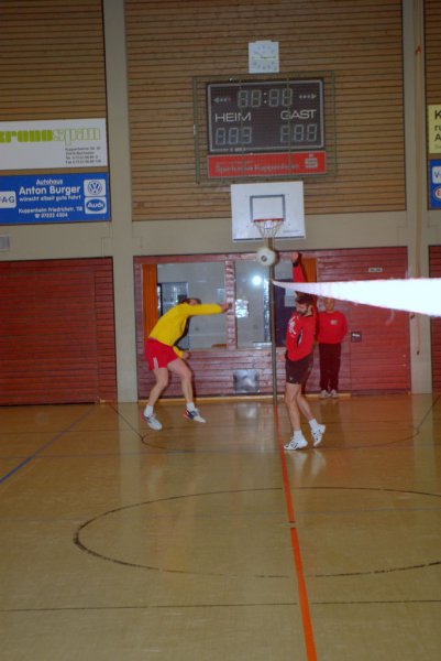 Faustball Spieltag 13.1