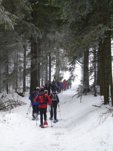 Schneeschuhwanderung
