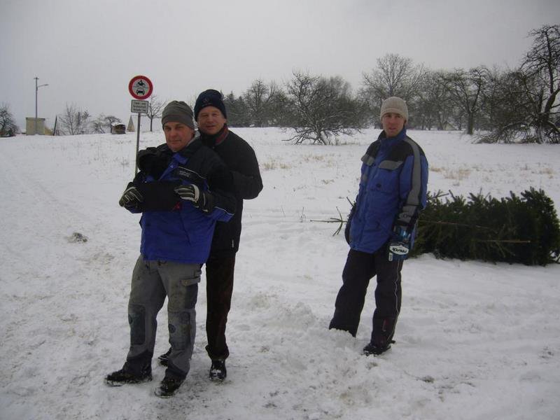 Christbaumsammelaktion