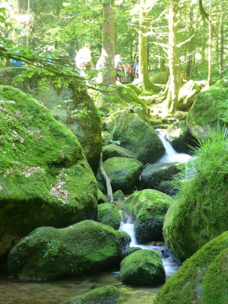 Sommerwanderung