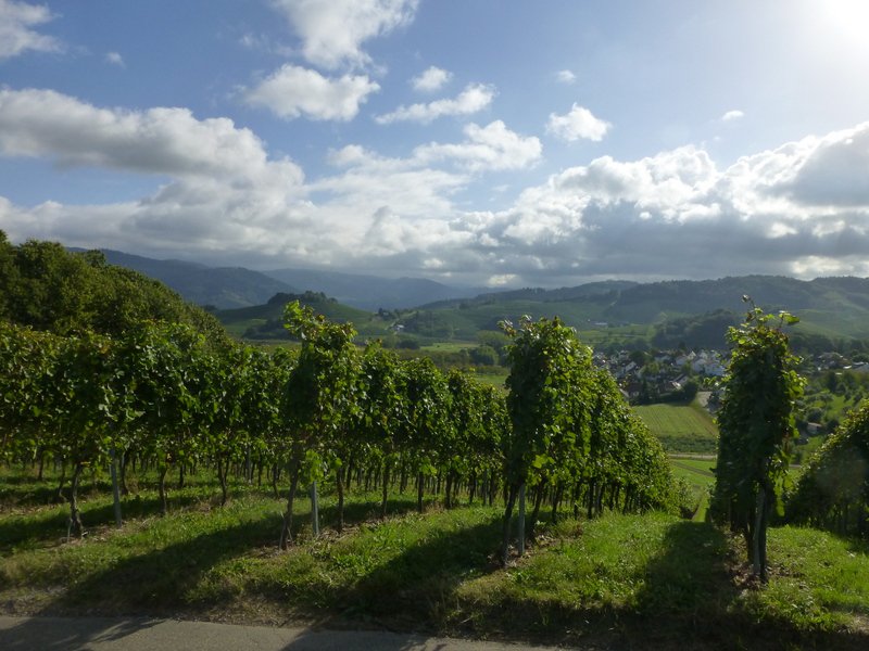 Gengenbach