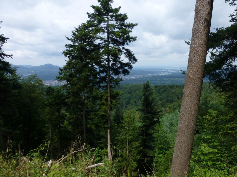 Bernsteinwanderung