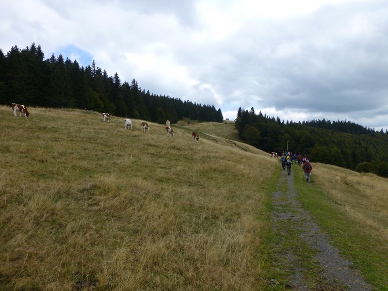 Altglashuetten