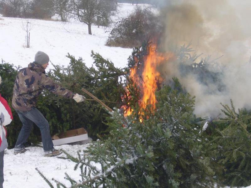 Christbaumsammelaktion