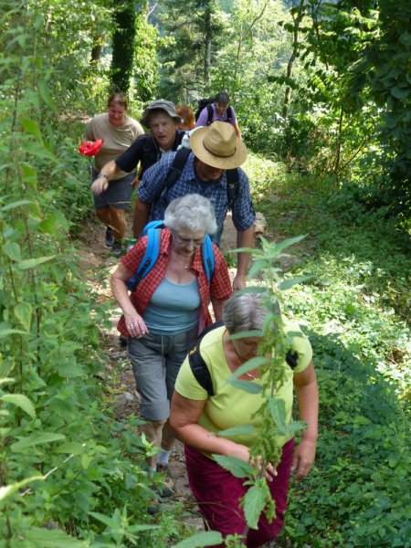 Wandern