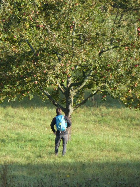 Herbstwanderung