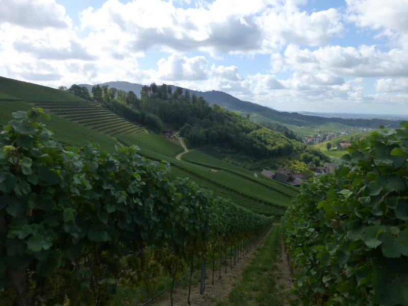 Gengenbach