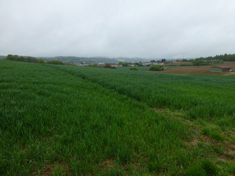 Landeswandertag