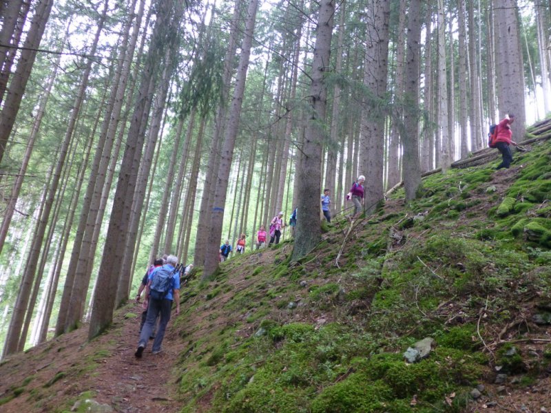 Sommerwanderung