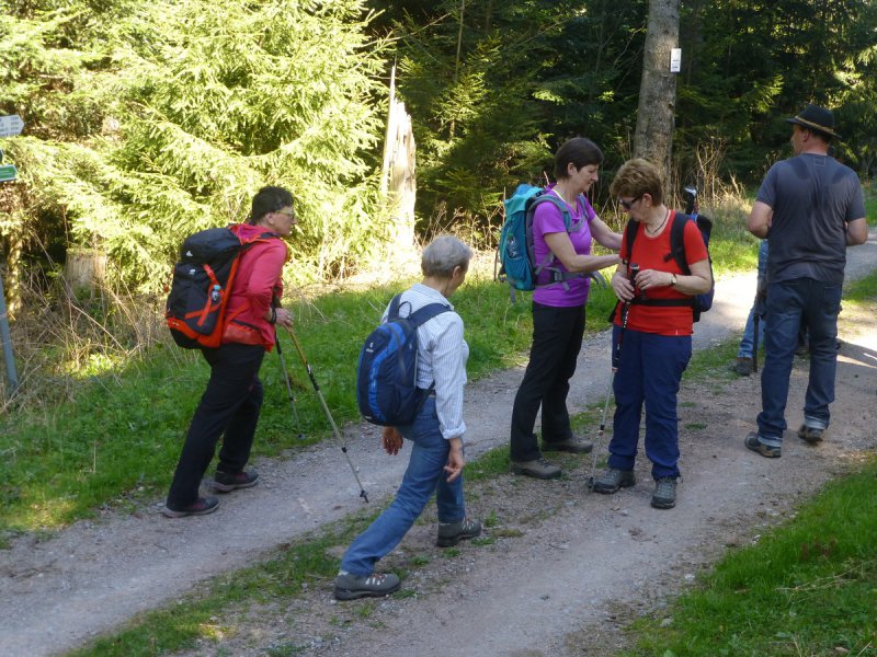 Auftakttour