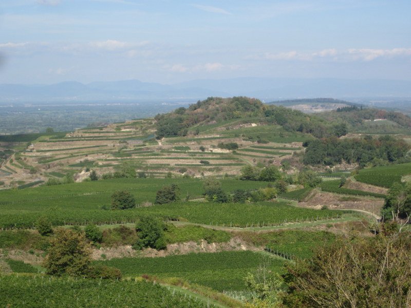 Kaiserstuhlwanderung