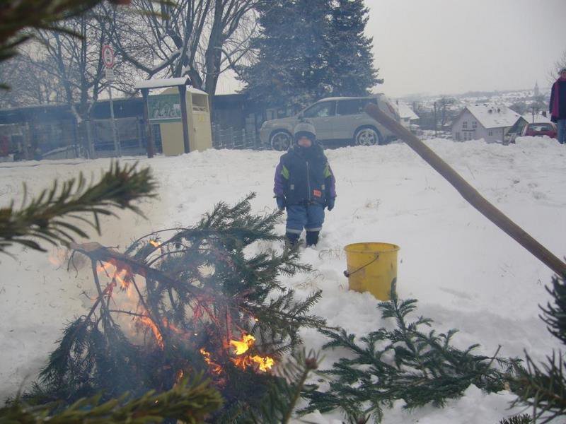 Christbaumsammelaktion
