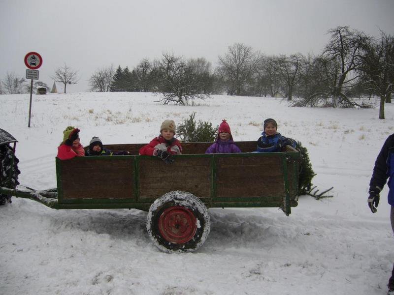 Christbaumsammelaktion